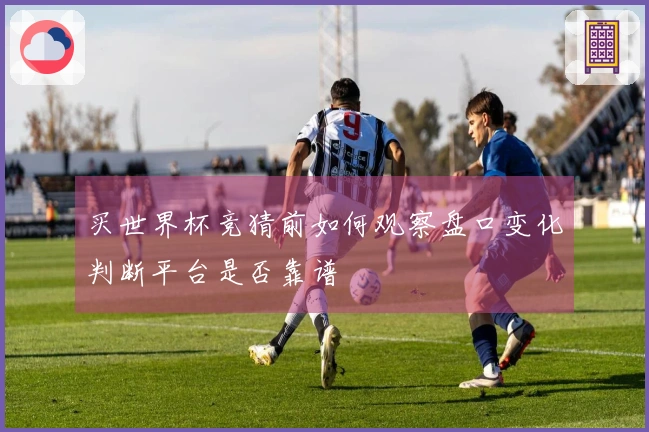 买世界杯竞猜前如何观察盘口变化判断平台是否靠谱