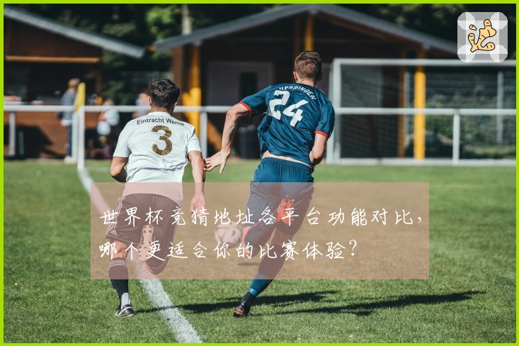 世界杯竞猜地址各平台功能对比，哪个更适合你的比赛体验？