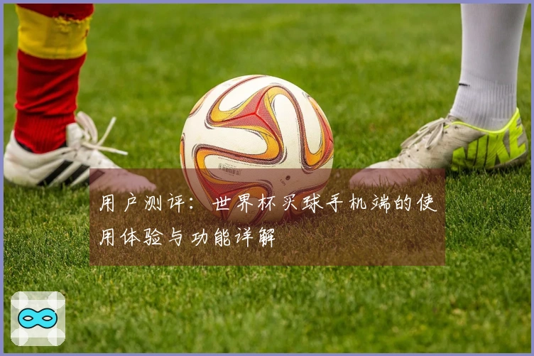 用户测评：世界杯买球手机端的使用体验与功能详解