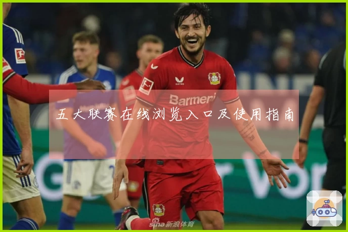 五大联赛在线浏览入口及使用指南