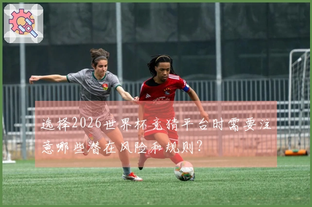 选择2026世界杯竞猜平台时需要注意哪些潜在风险和规则？