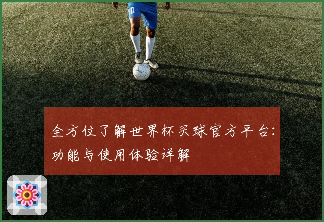 全方位了解世界杯买球官方平台：功能与使用体验详解