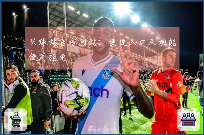 买球站官方网站：便捷入口及功能使用指南