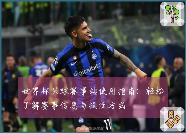 世界杯买球赛事站使用指南：轻松了解赛事信息与投注方式