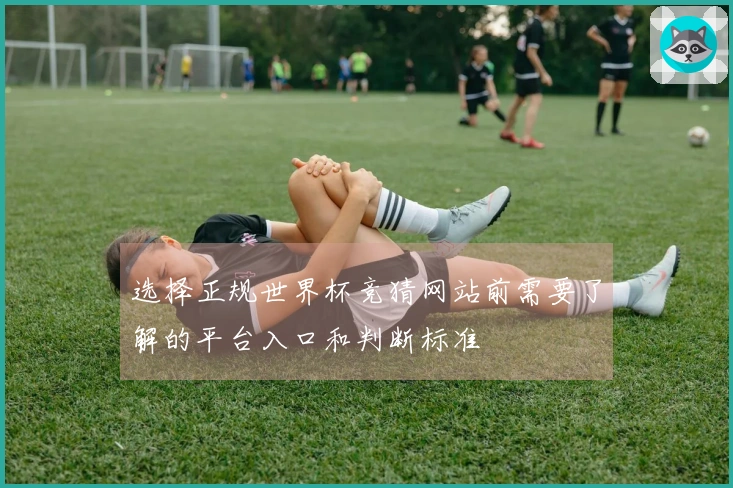 选择正规世界杯竞猜网站前需要了解的平台入口和判断标准