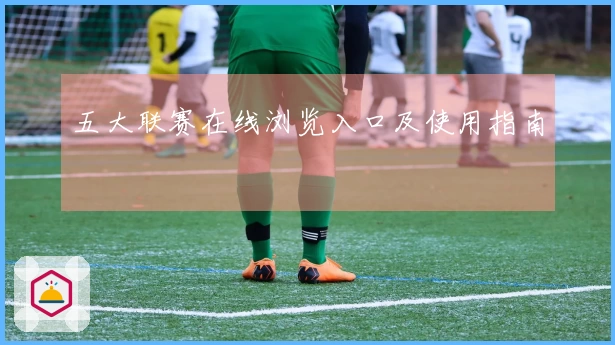 五大联赛在线浏览入口及使用指南