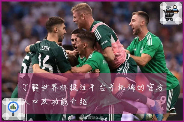 了解世界杯投注平台手机端的官方入口及功能介绍