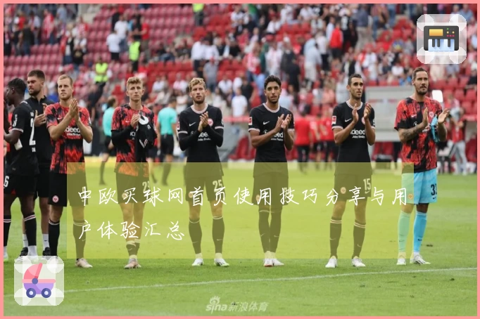 中欧买球网首页使用技巧分享与用户体验汇总
