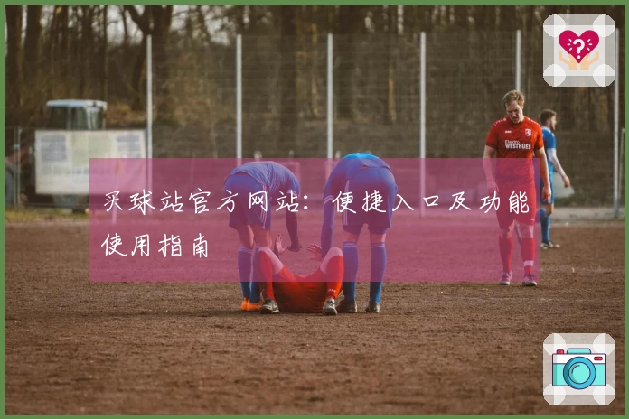 买球站官方网站：便捷入口及功能使用指南